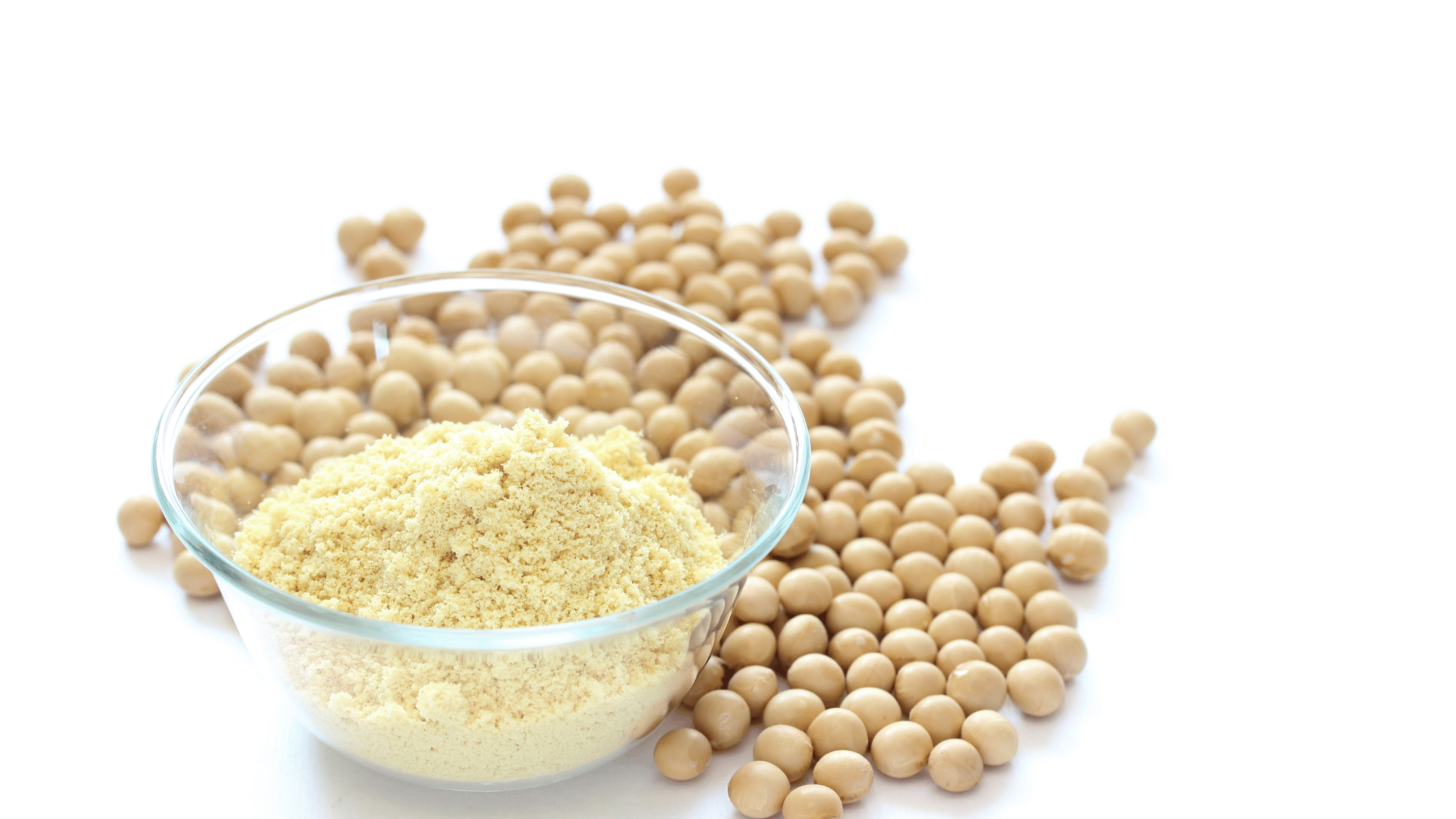 From Bean to Powder: The Detailed Steps of Soy Protein Isolate Production